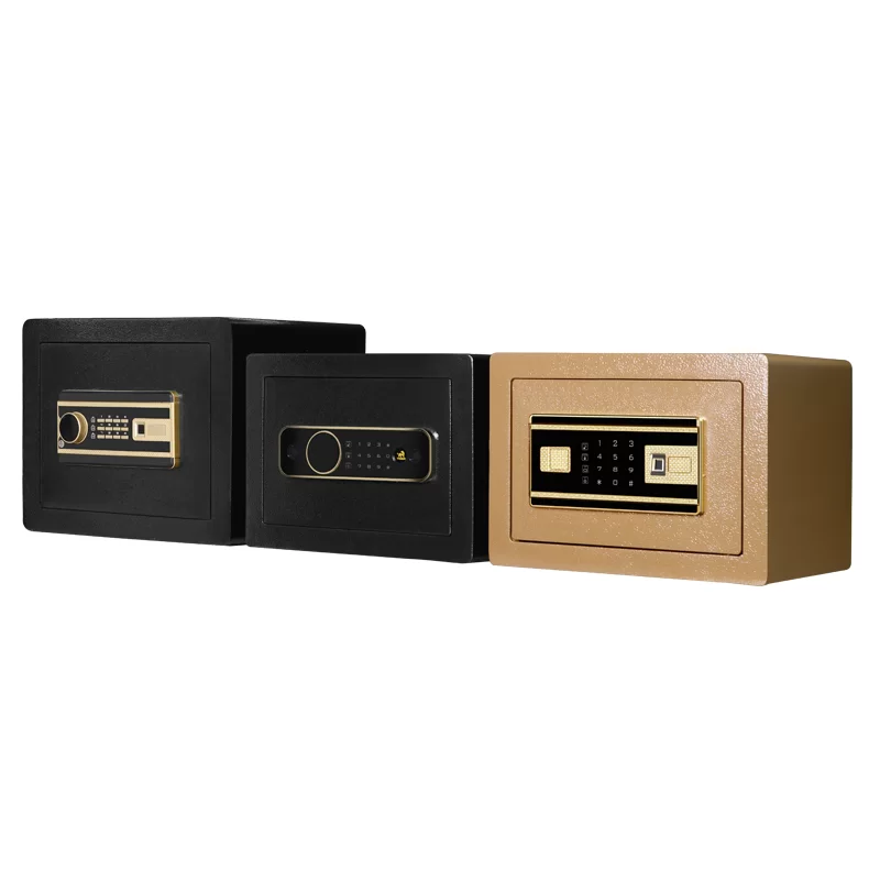 Home Mini Safes
